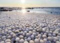 People from Finland share this rare natural phenomenon. This is what it is.