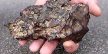 Earth’s origins: what Antarctic meteorites tell us