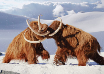 What really happened to mammoths and other ice age giants