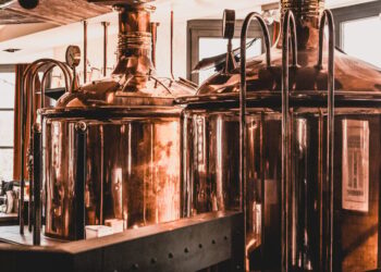 Why the debate is still out on who invented beer