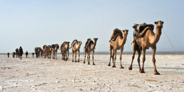 Hell on Earth can be found in Africa