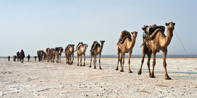Hell on Earth can be found in Africa